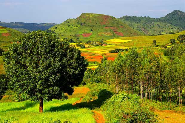 araku tour package